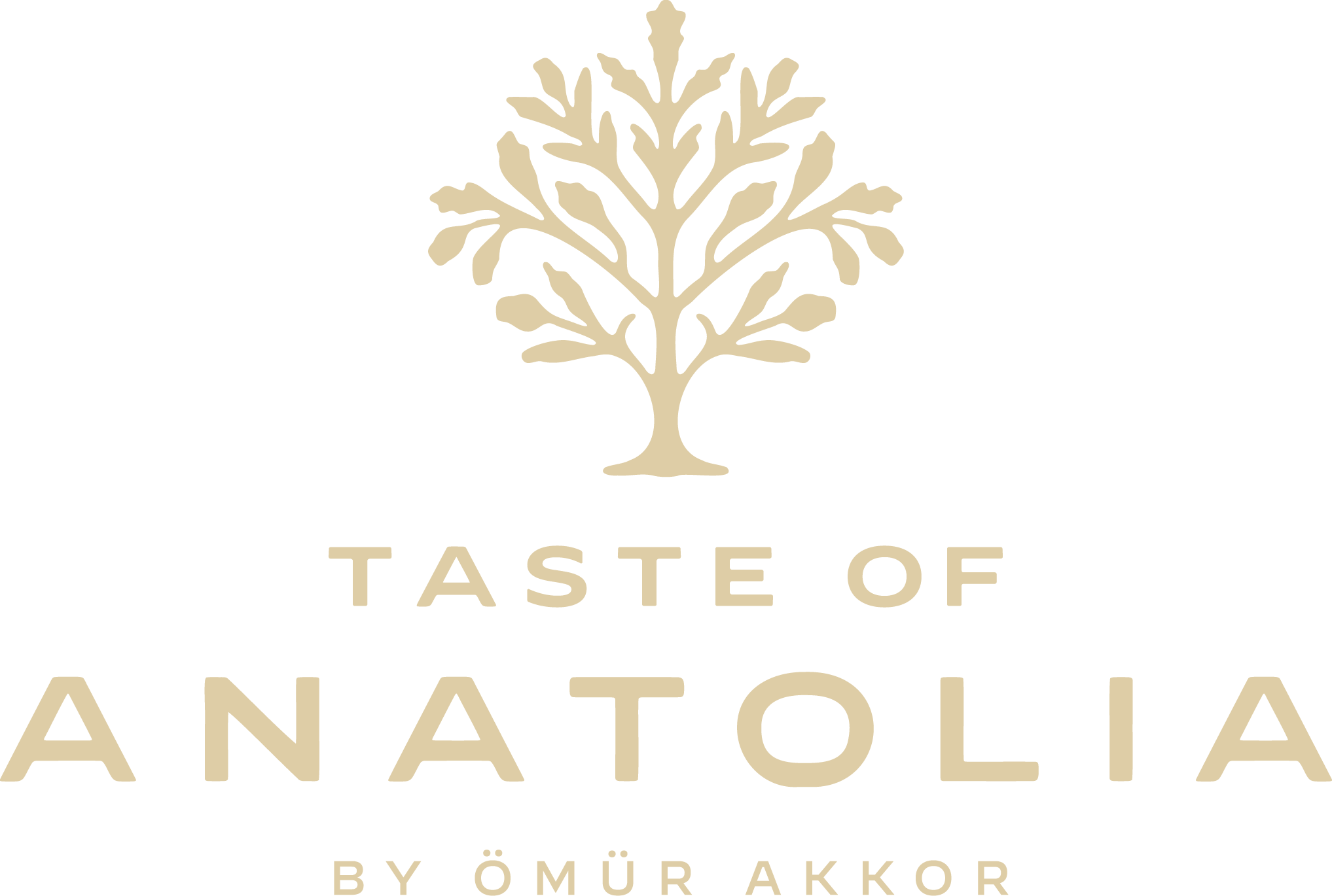 Taste of Anatolia by Ömür Akkor